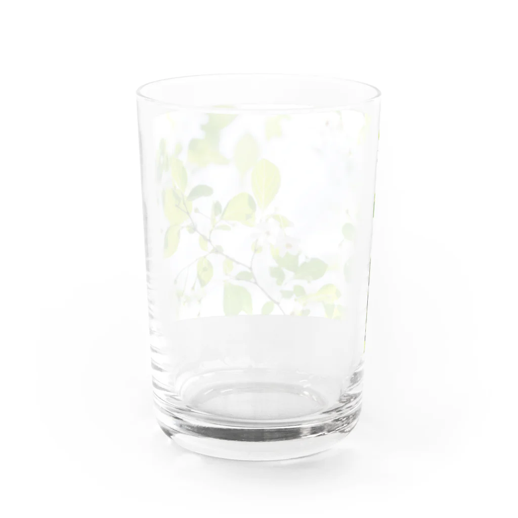 akane_art（茜音工房）の癒しの風景（エゴノキ） Water Glass :back