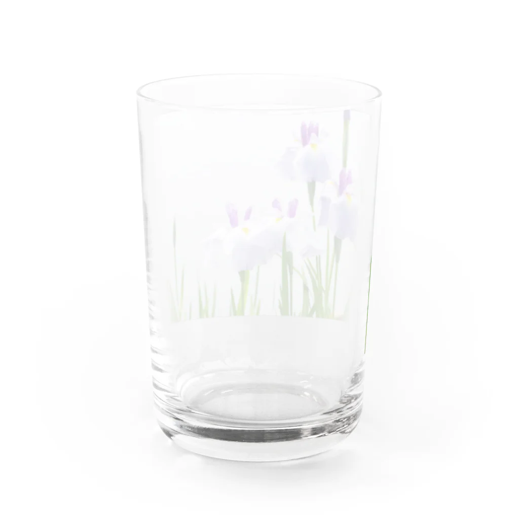 akane_art（茜音工房）の癒しの風景（花菖蒲） Water Glass :back