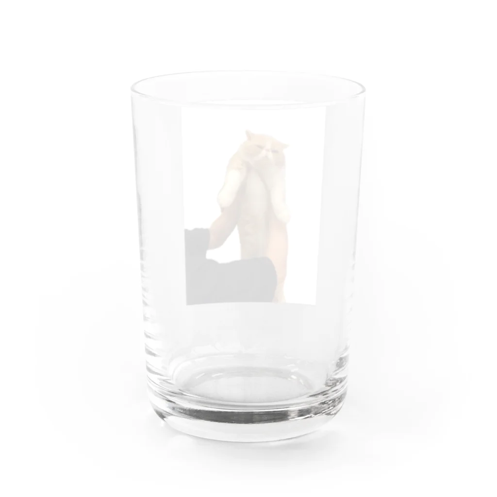 コロたんの持ち上げられてるコロたん Water Glass :back