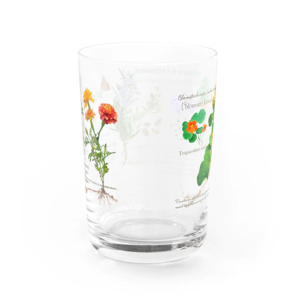 Weのハーブが大好き Water Glass :back