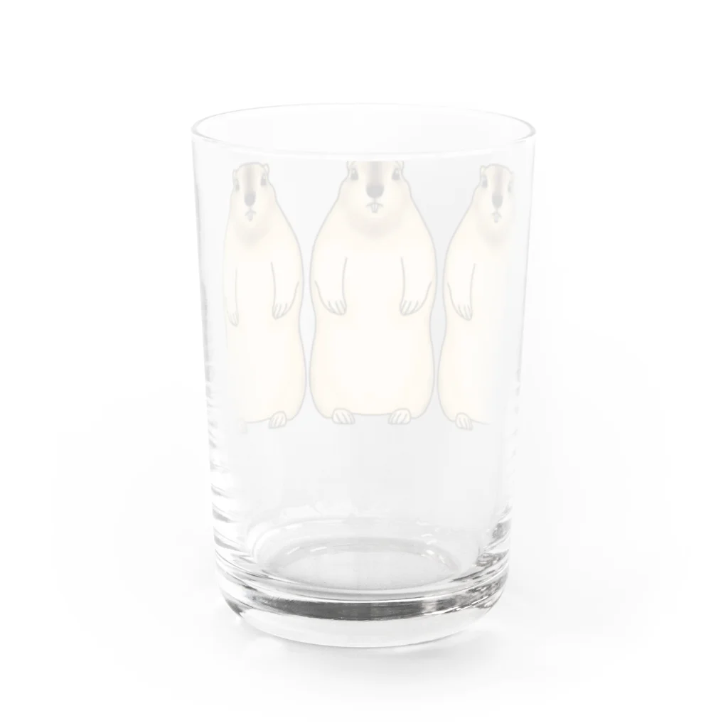 天十里SHOPのマーモット Water Glass :back