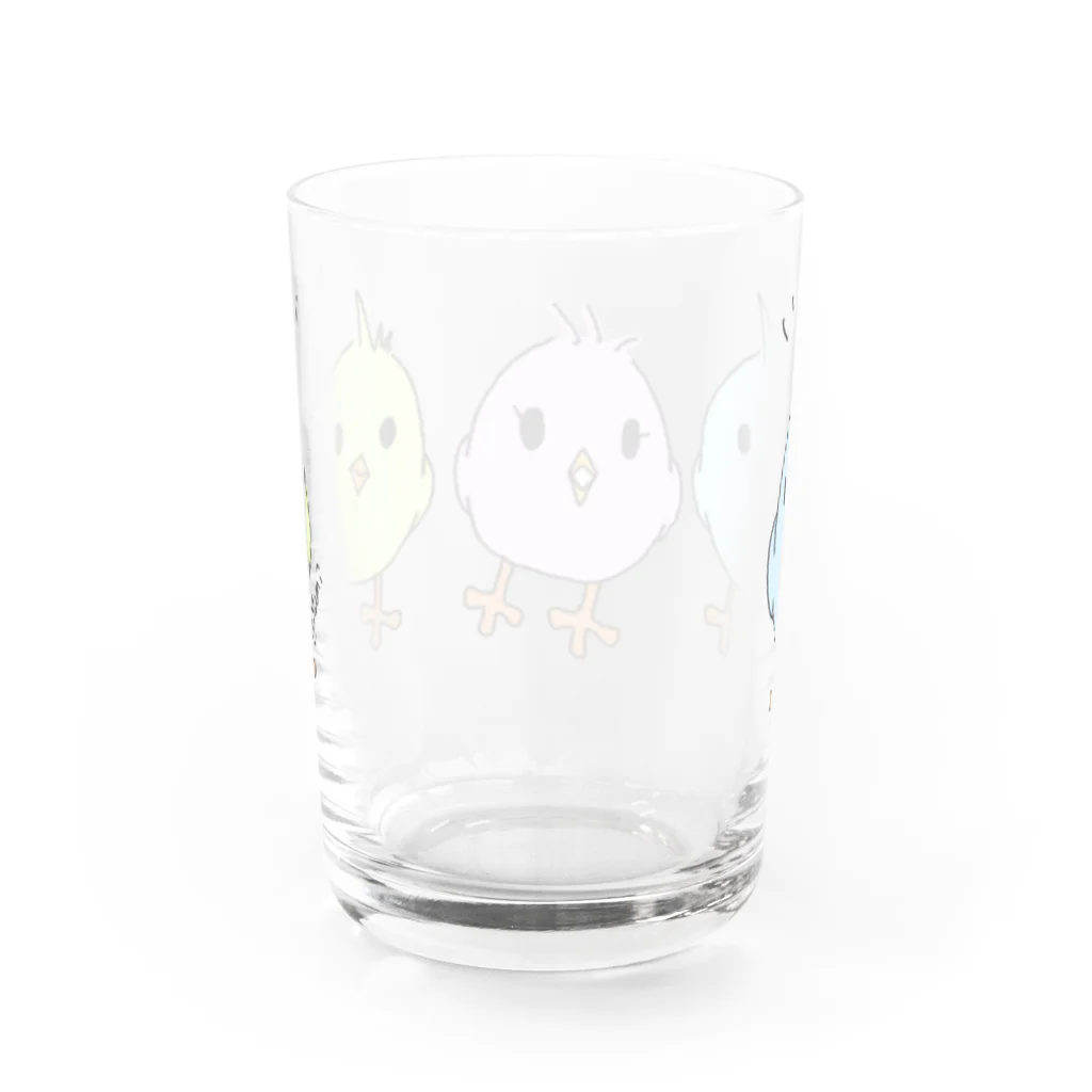 たみ★ずかんのカラーピヨコズ Water Glass :back