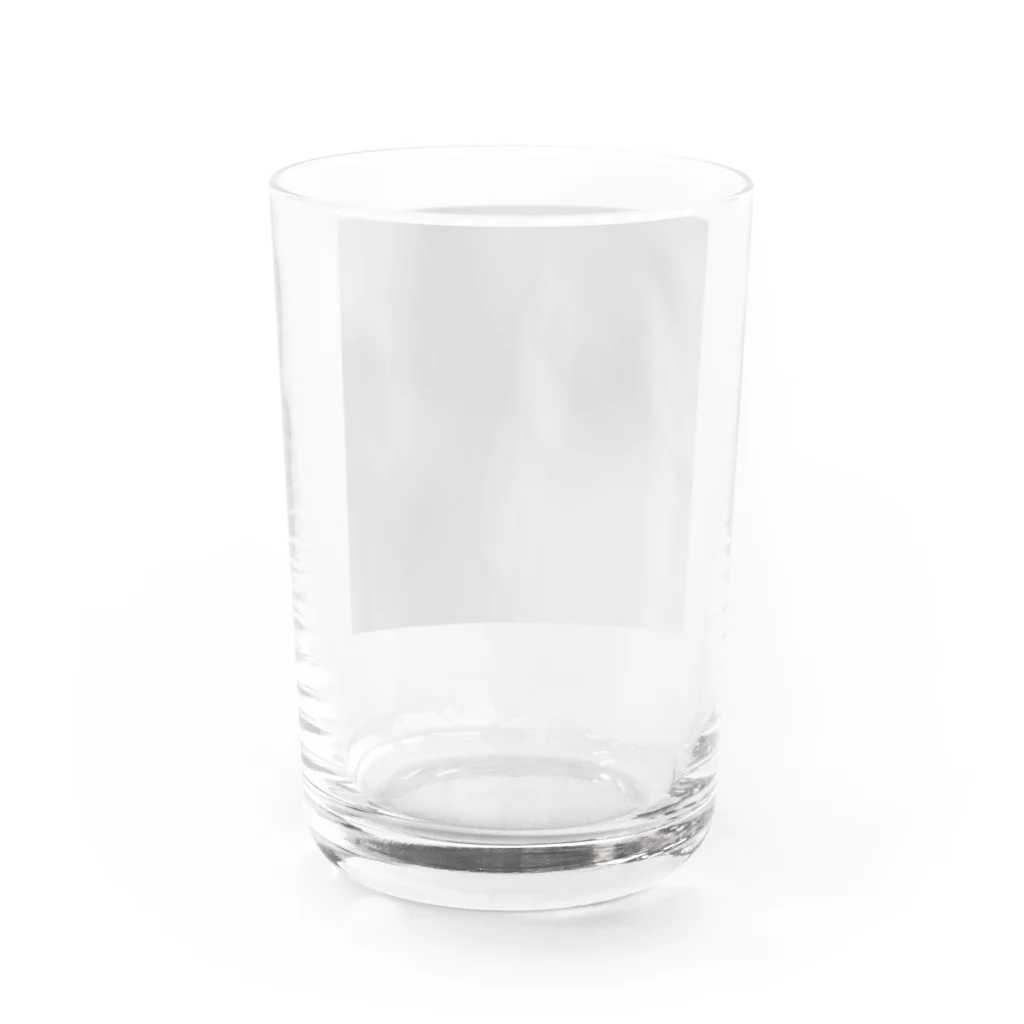 Dec-Affe-Inated RECORDSのスイサイダル補助金 Water Glass :back