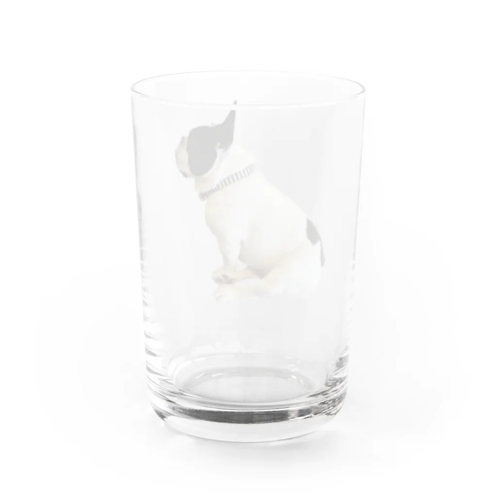 フレディのフレディ(ごはん待ち) Water Glass :back