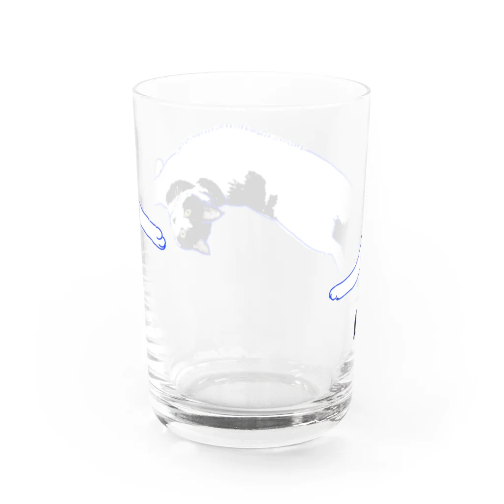 きゅう。ののびのびはちわれキャット Water Glass :back