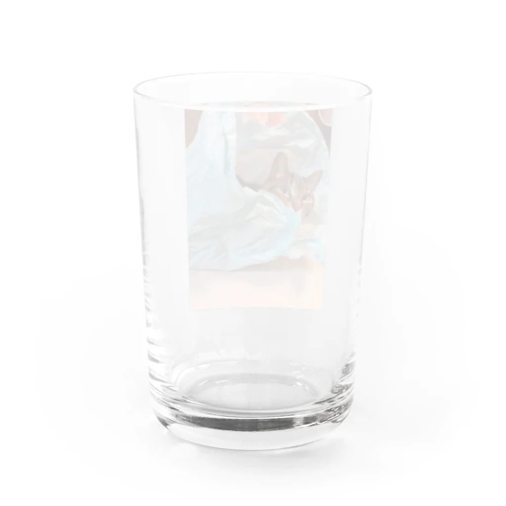 さくらパラダイスの袋大好きみぃー子さん Water Glass :back