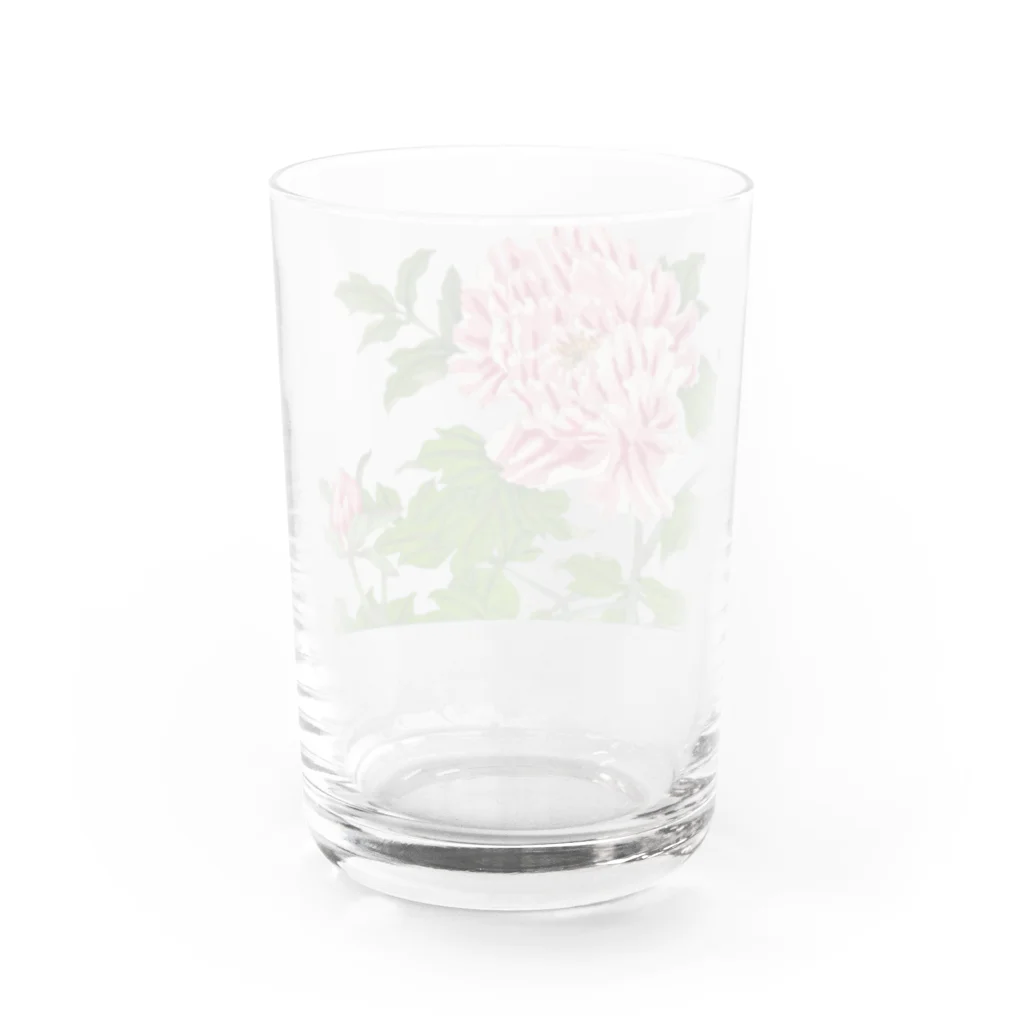 JapaneseArt Yui Shopの牡丹 Water Glass :back