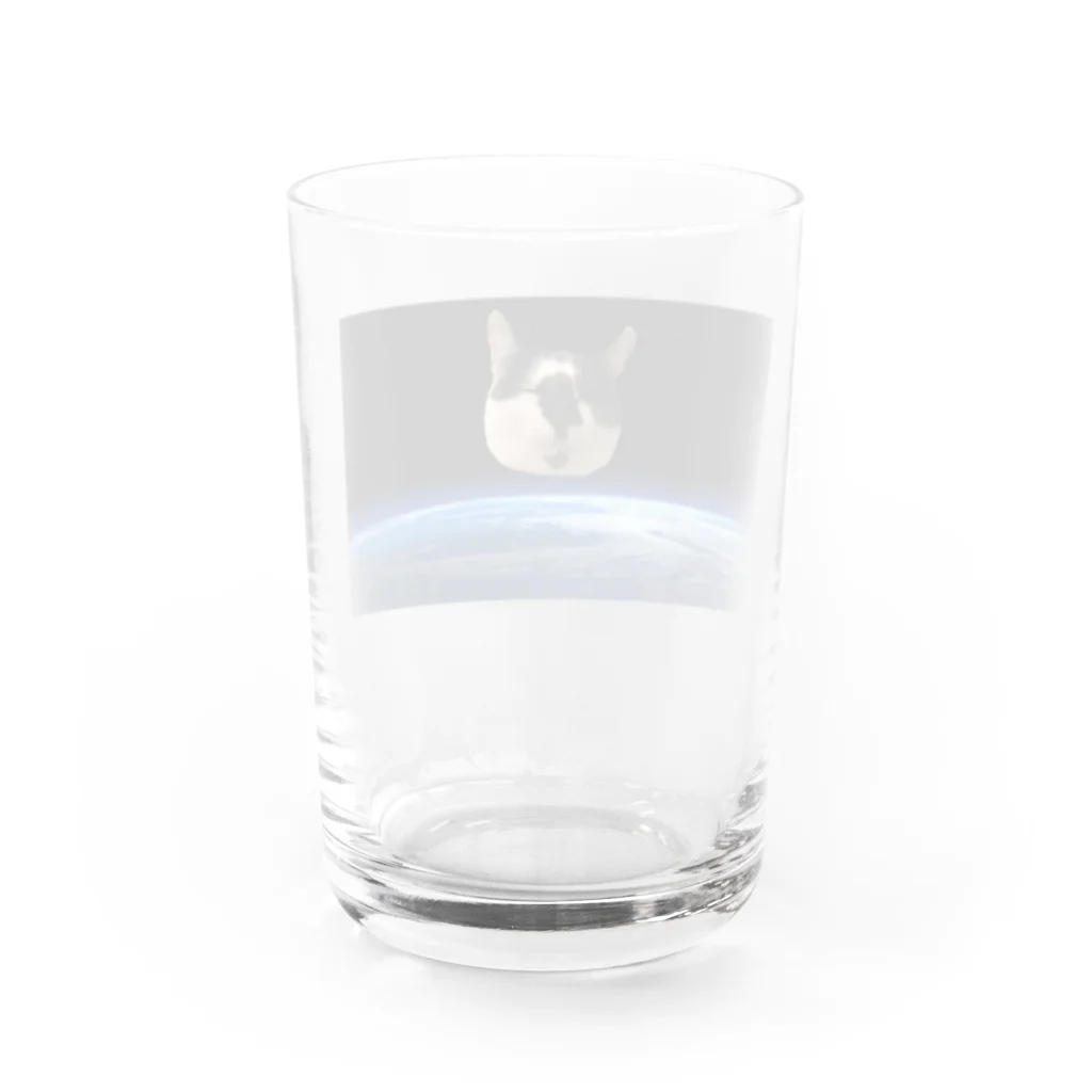 百鬼夜行の衛星猫 Water Glass :back