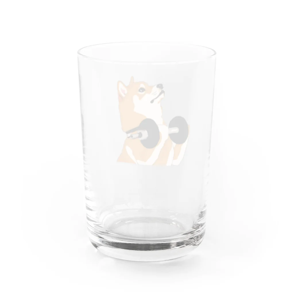 パンプアップ柴Hachiのパンプアップ柴Hachi Water Glass :back