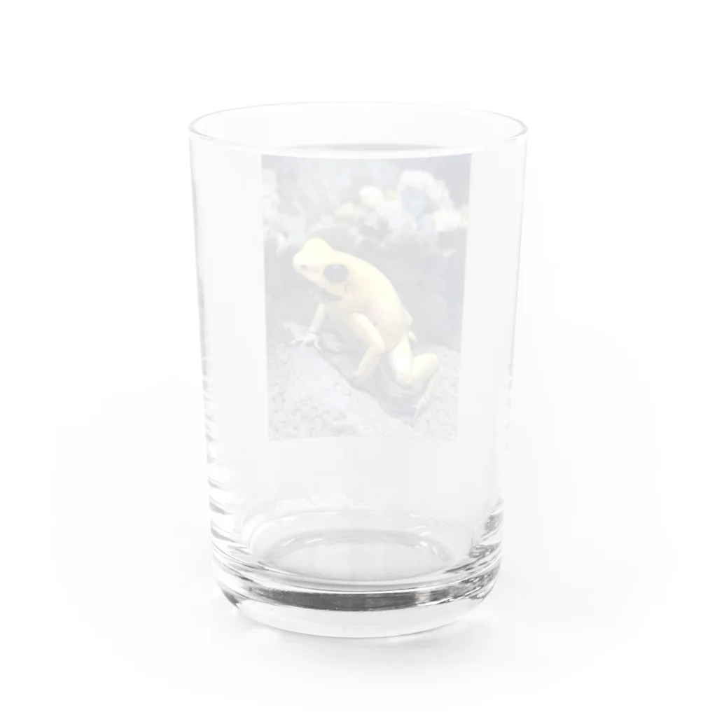 Lunallena のモウドクフキヤガエル Water Glass :back