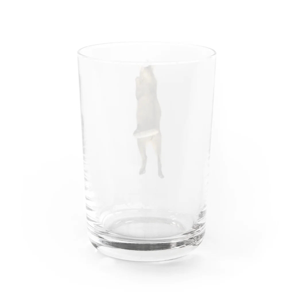 QDAのQAMALくん Water Glass :back