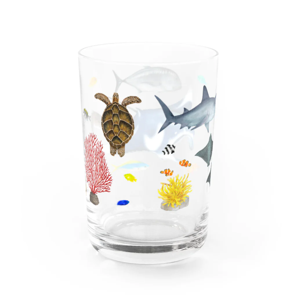 uminomadoの八重山の海の中 Water Glass :back