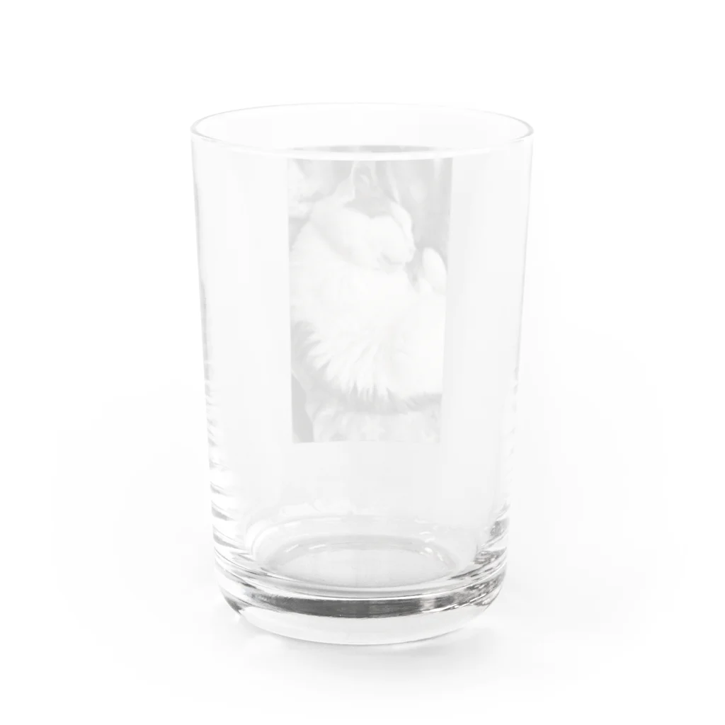 KAZU SHOPの可愛い猫のお昼寝　癒し Water Glass :back