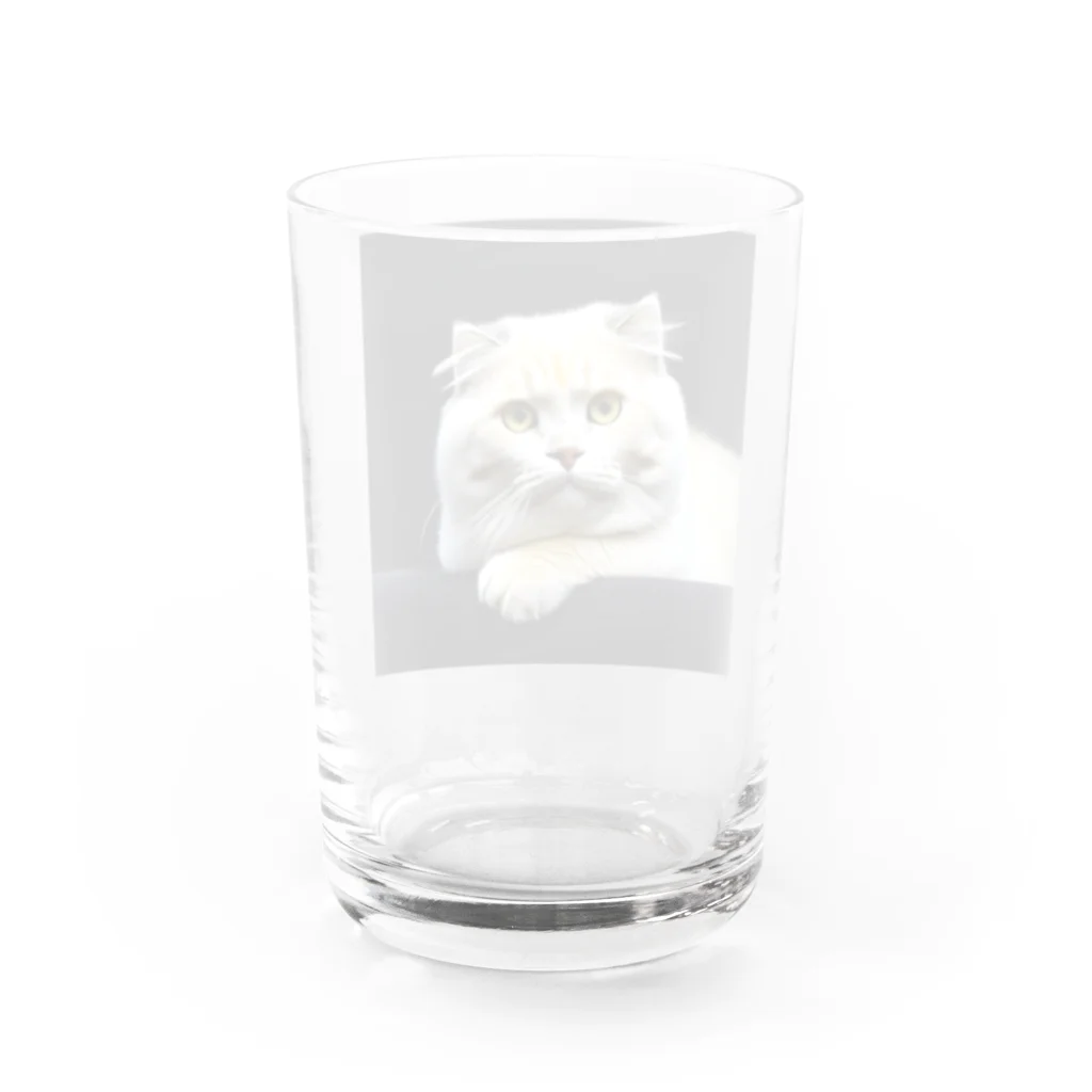 Animal-goodsのかわいい猫ちゃんの写真 Water Glass :back