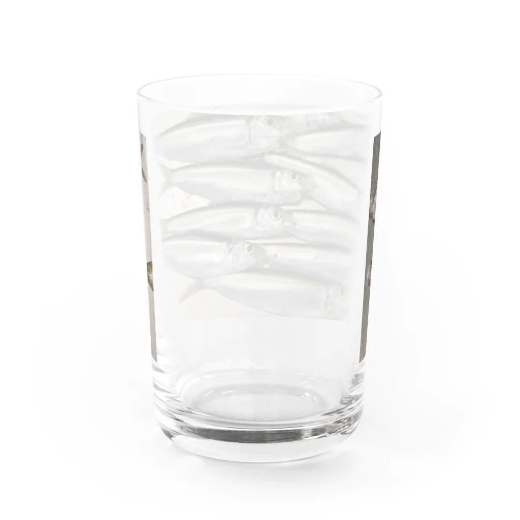 さかなっちのママカリッチ　さかな Water Glass :back