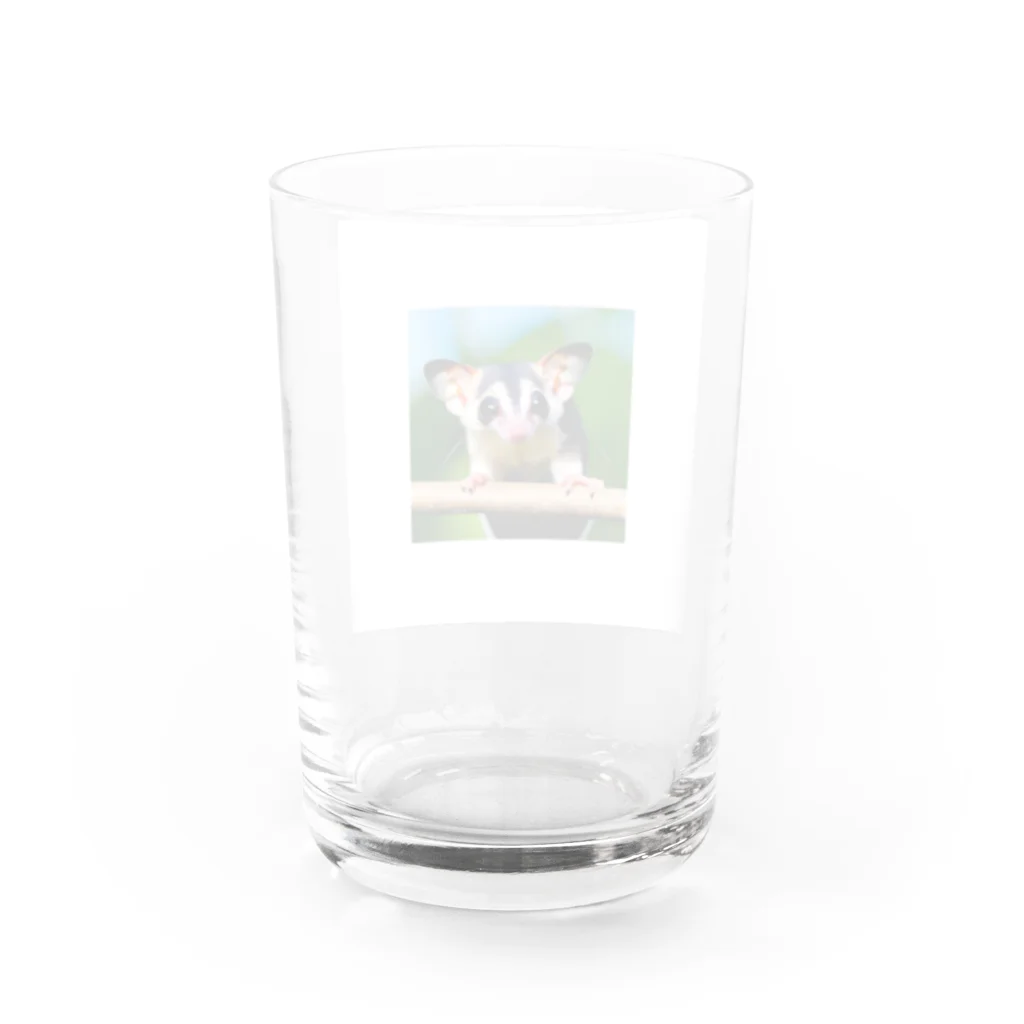 hiro358358のかわいいフクロモモンガ Water Glass :back