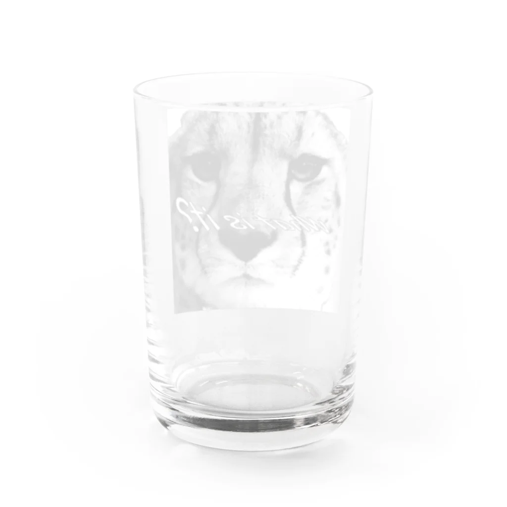 Kego_Storeのチーターさん Water Glass :back