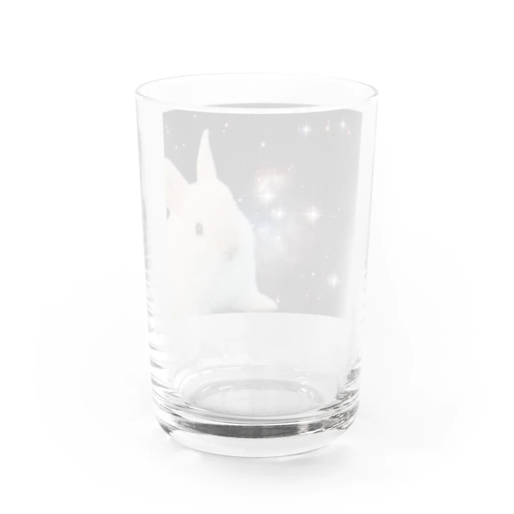 宇宙動物園の宇宙白うさぎ Water Glass :back