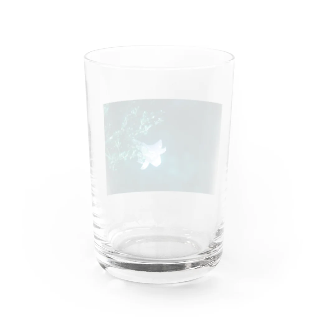 kamakiri3のFlower of the Heart　高砂百合 Water Glass :back