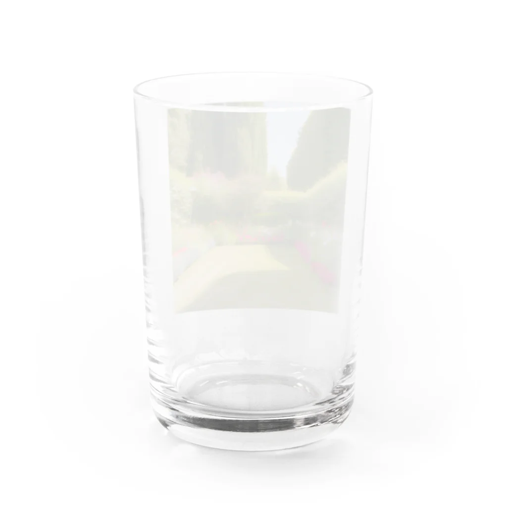 chy33350の緑の庭 Water Glass :back