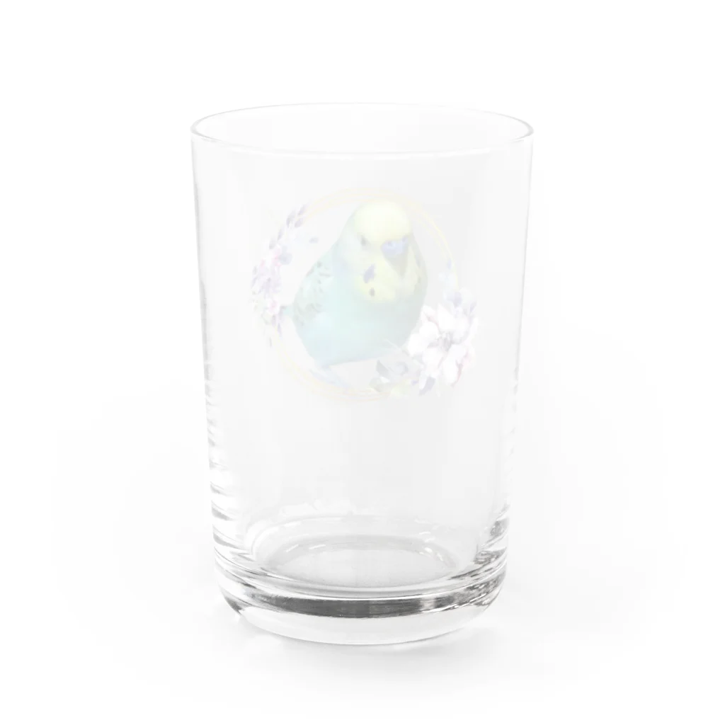 甘えん坊オカメインコのセキセイインコそらまめちゃんシリーズ Water Glass :back