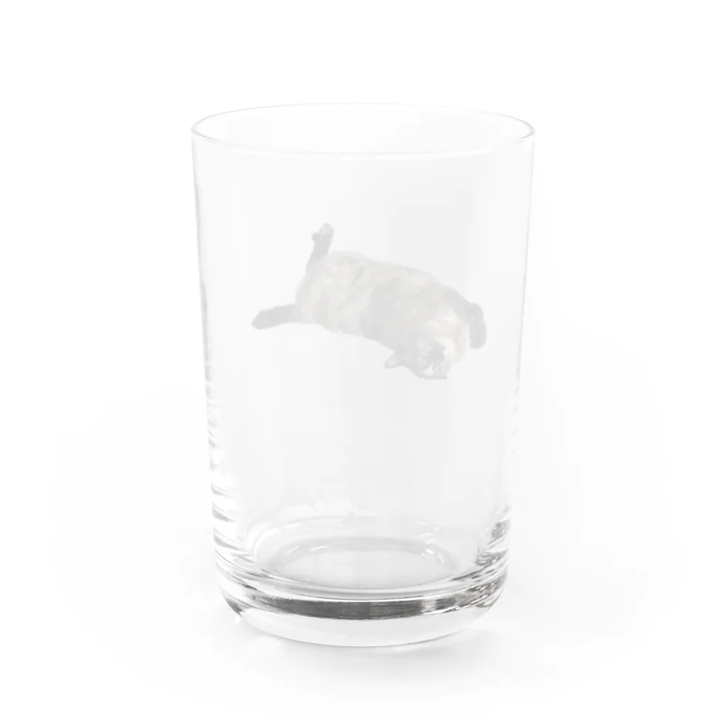 QDAのSly Water Glass :back