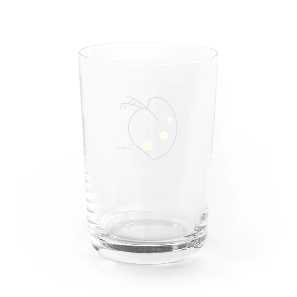 Daphnia volvoxのダフニアボルボックス Water Glass :back