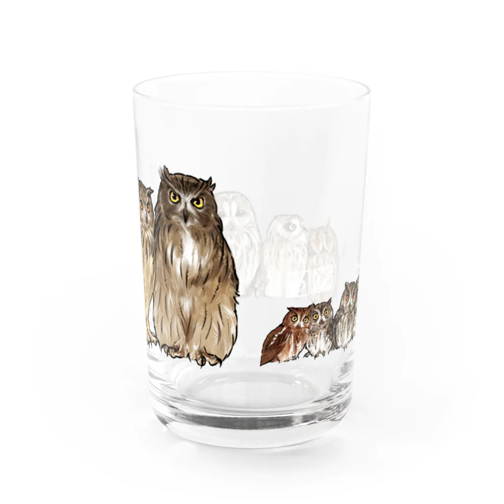 鵄　〜フクロウまみれ〜のせのじゅんフクロウ Water Glass :back