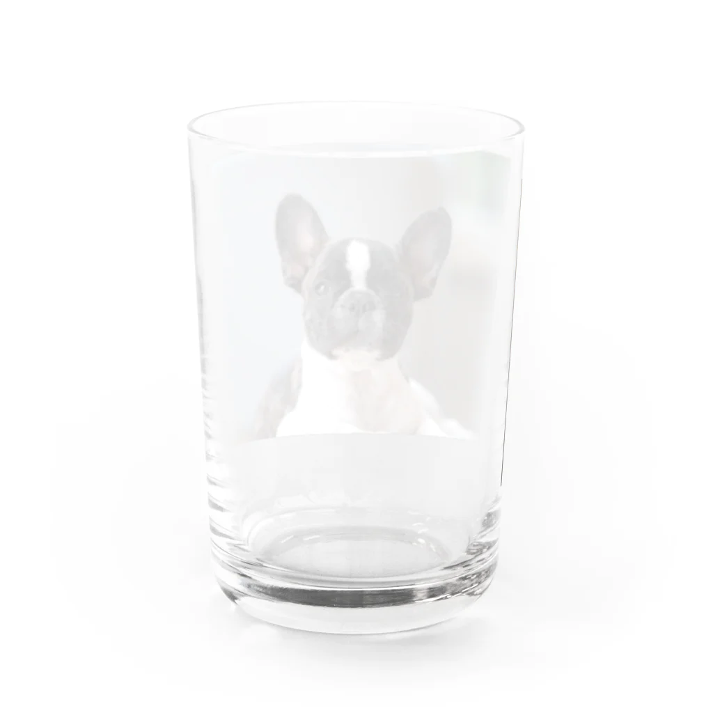 okamemaruの癒し系いぬ Water Glass :back