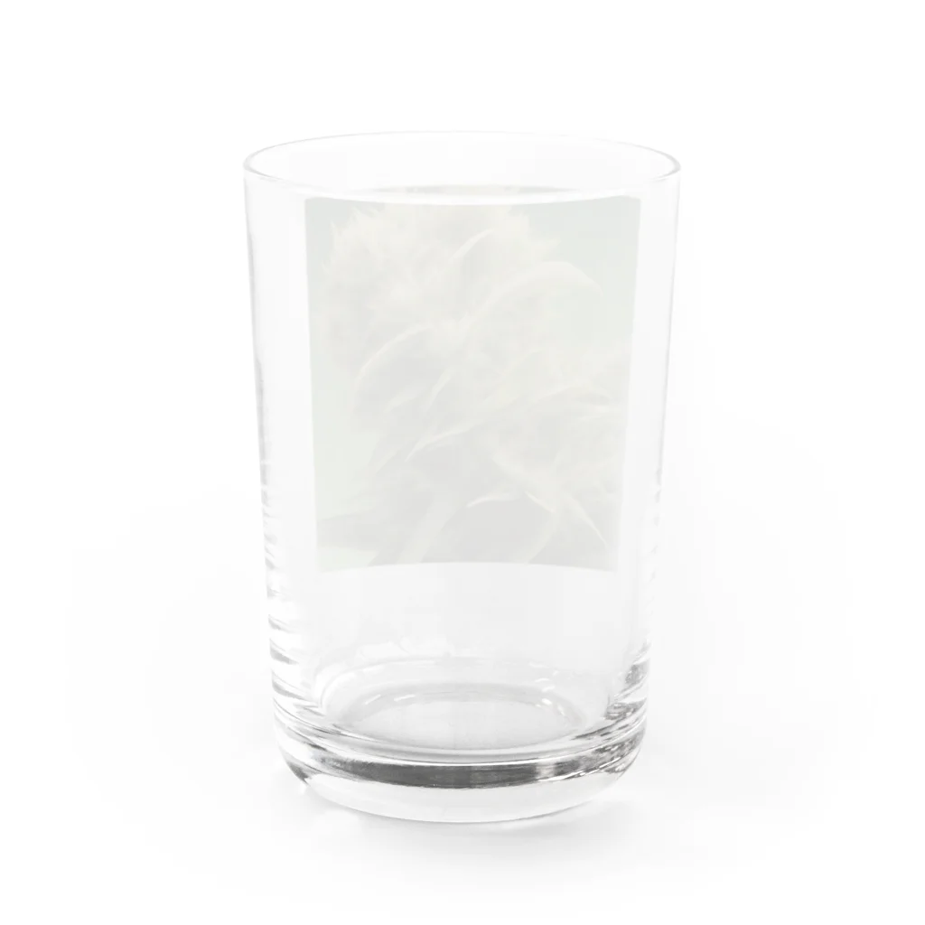 ハイライフコレクションズの42O-0091 フォトゥオーナインティワン Water Glass :back