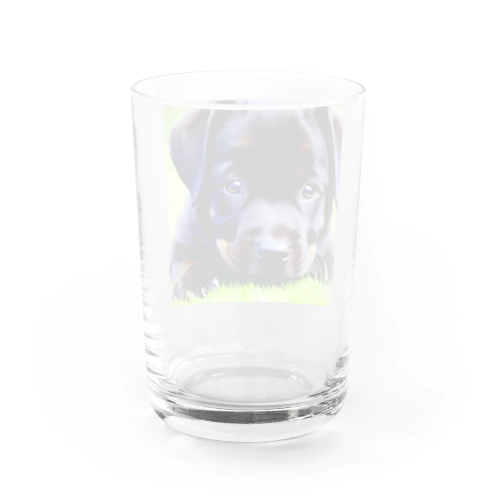 nishijima1の仔犬 Water Glass :back