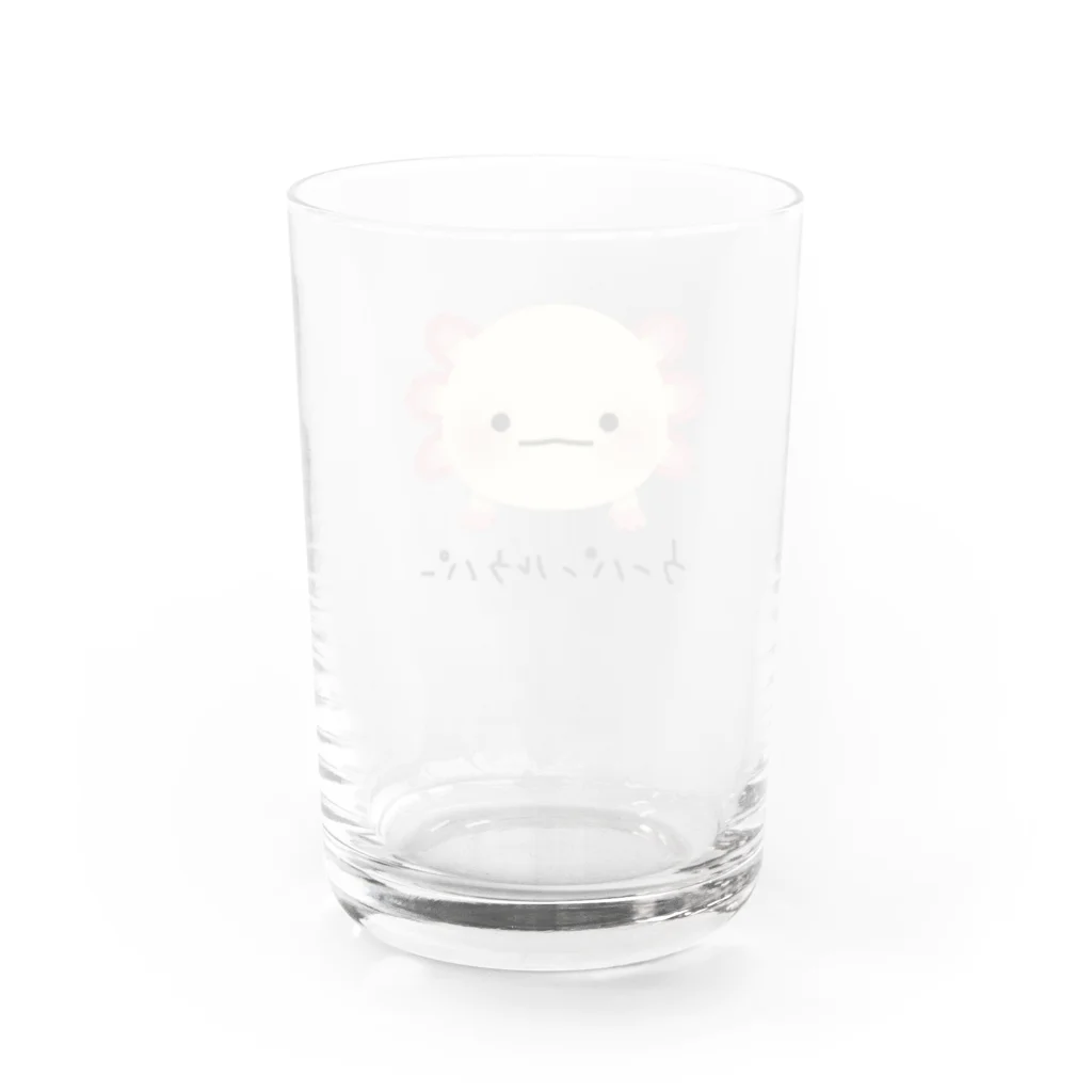 hibikのウーパールーパーグッズ Water Glass :back