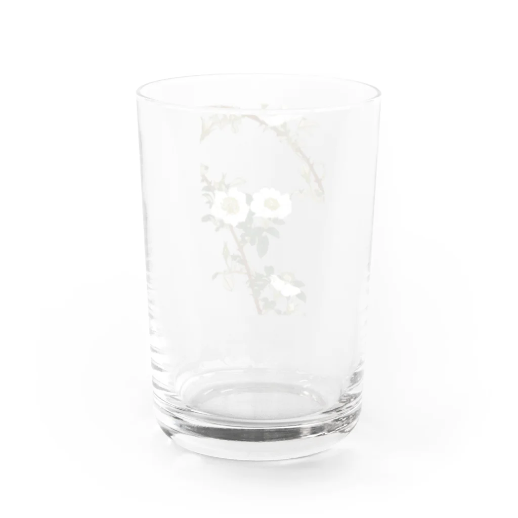 sachiko_goodsのなにはいばら Water Glass :back