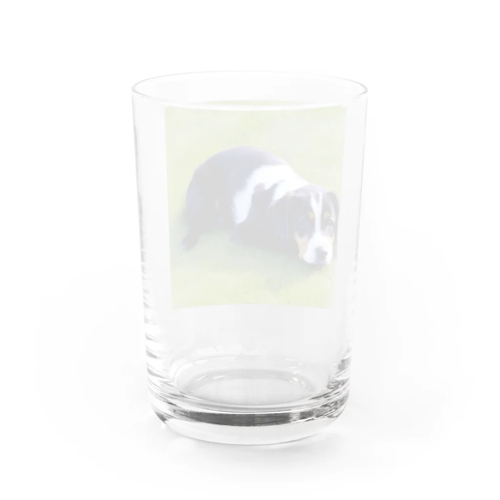 deep_の可愛いワンちゃん Water Glass :back