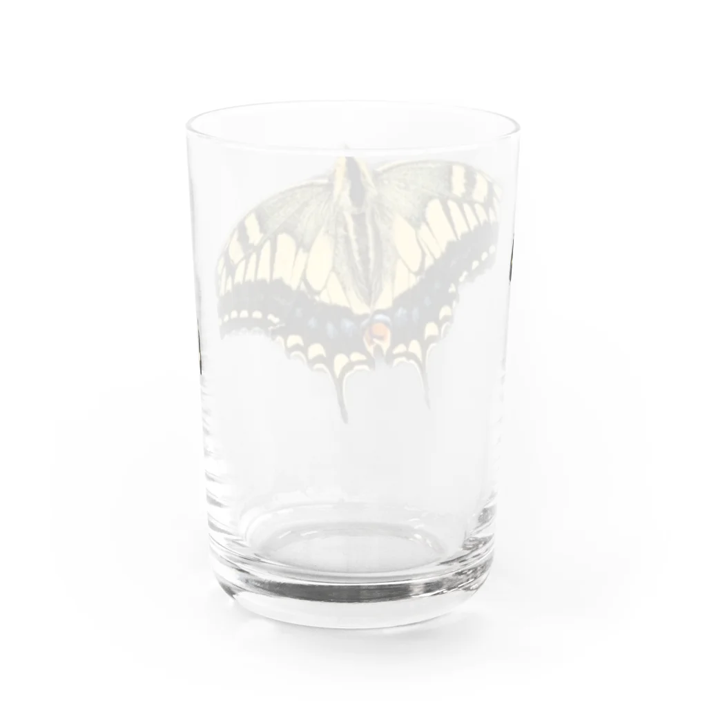 ミナらショップのキアゲハ Water Glass :back