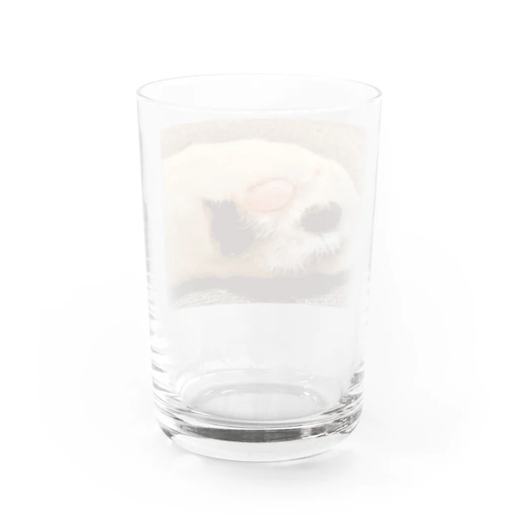 J-GLADSのにくきゅう Water Glass :back