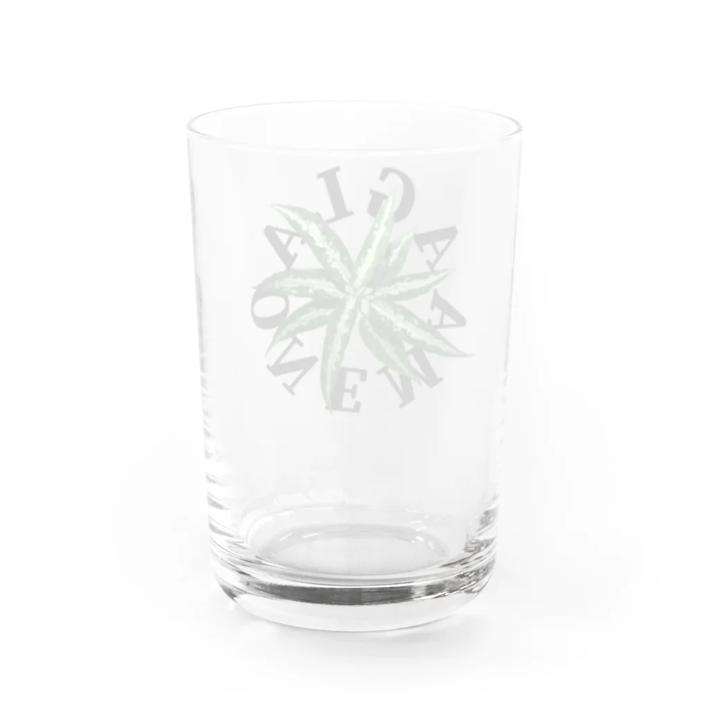 熱帯デザイン.com@SUZURIの【サークルロゴ】AGLAONEMA TRICOLOR（アグラオネマトリカラー）BLACK グラス反対面