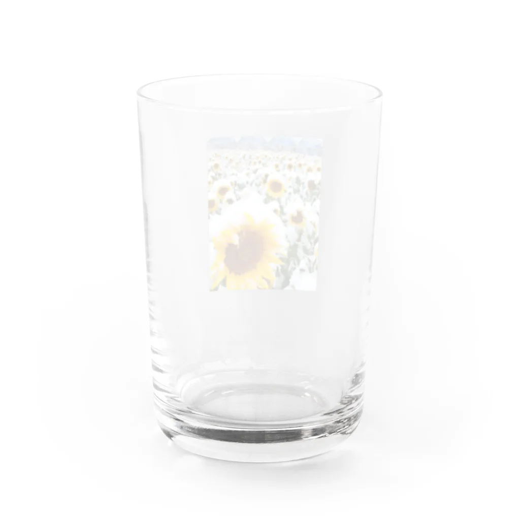 kazu_gの季節外れの雪の中のに咲く、季節外れのヒマワリ Water Glass :back