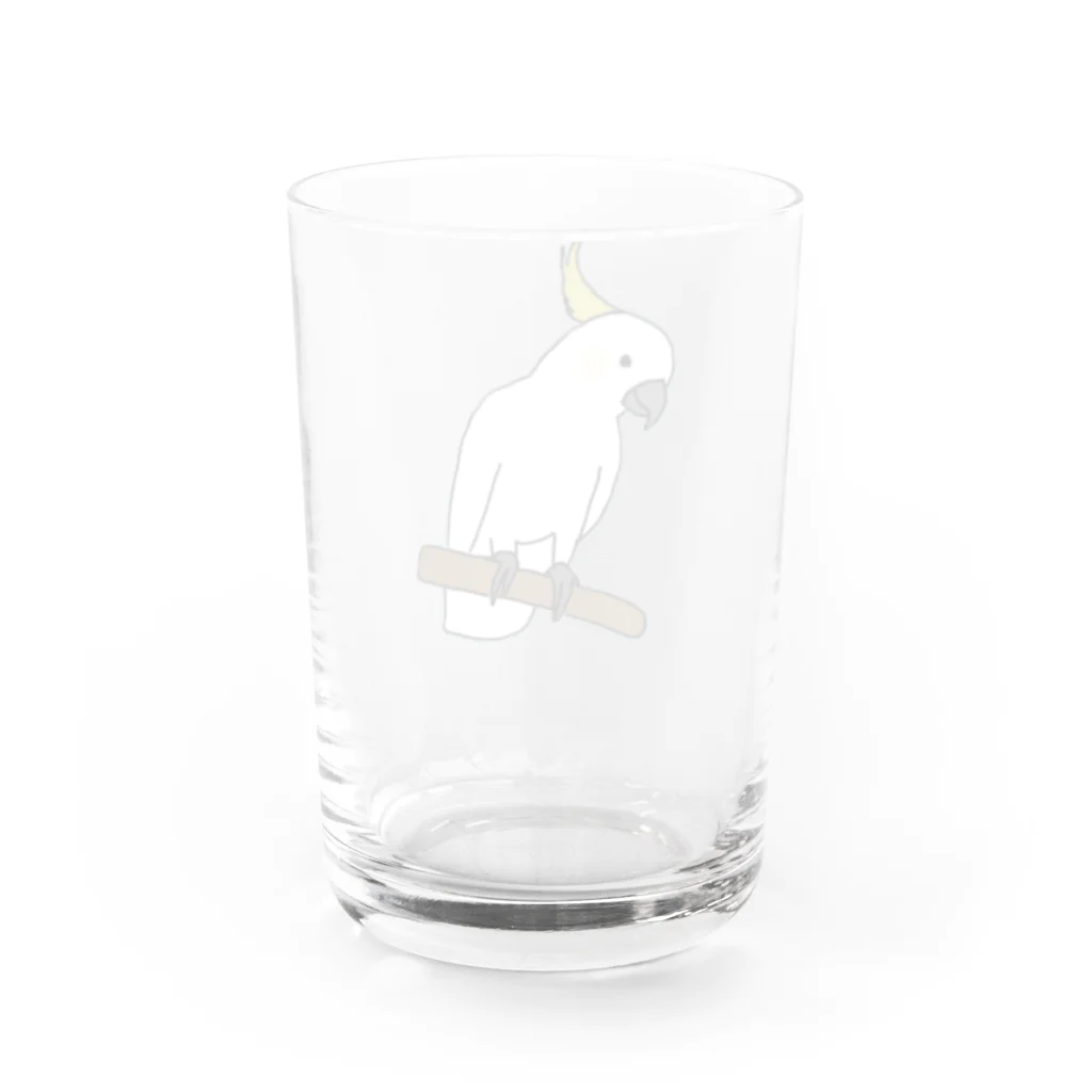 ゴールデンレトリバーわんちゃん犬の白い怪獣　キバタン Water Glass :back