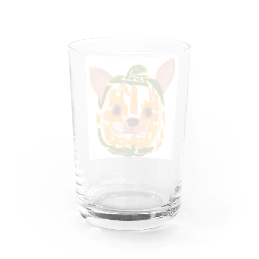 チワワ愛好家ショップのカボチャの秘密！チワワとの特別な出会い Water Glass :back