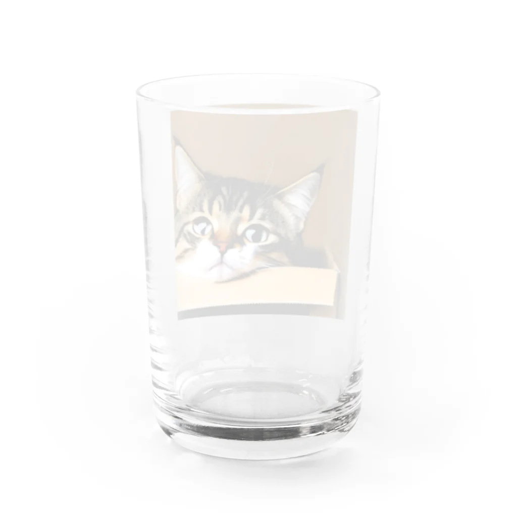 チェリオの箱に入った可愛い猫 Water Glass :back