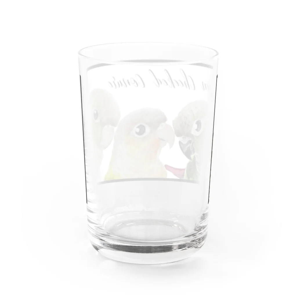 mariechan_koboの049 ウロコインコset シンプルフレームB Water Glass :back