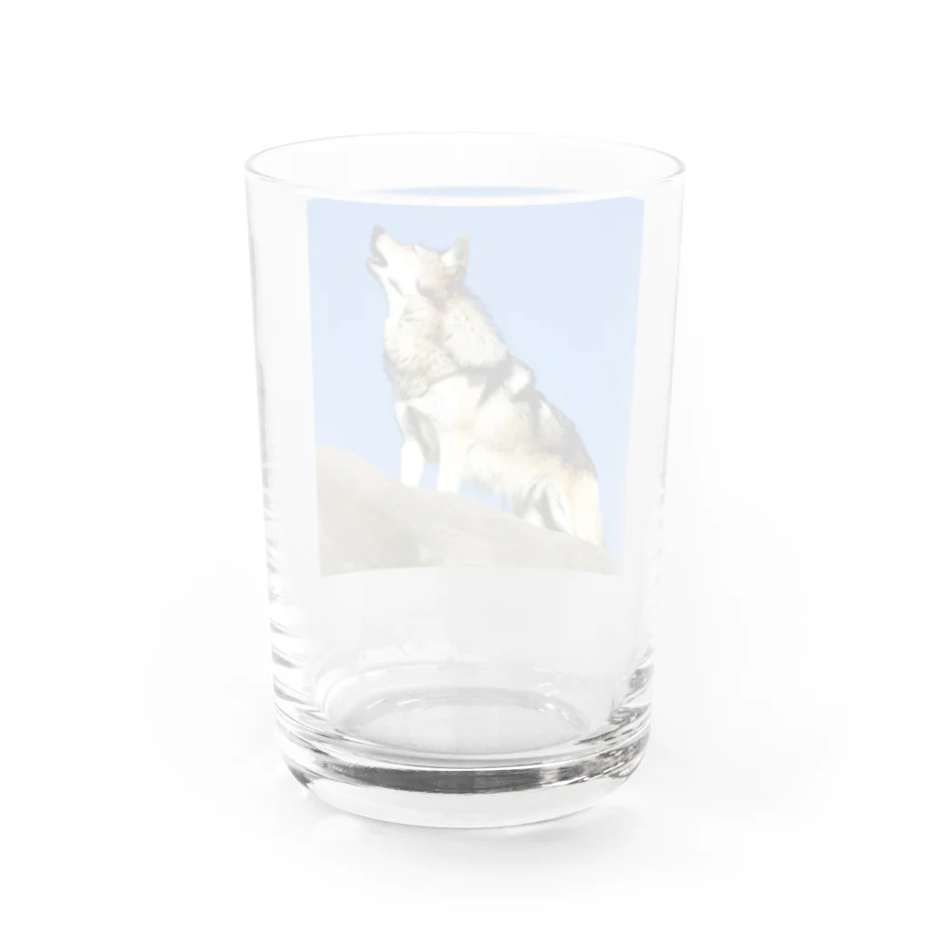 No planの吠えるオオカミ Water Glass :back