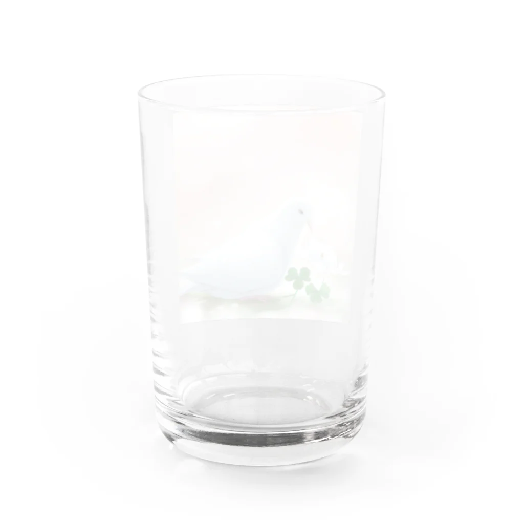 こりすまるの夢幻　鳩　和み Water Glass :back