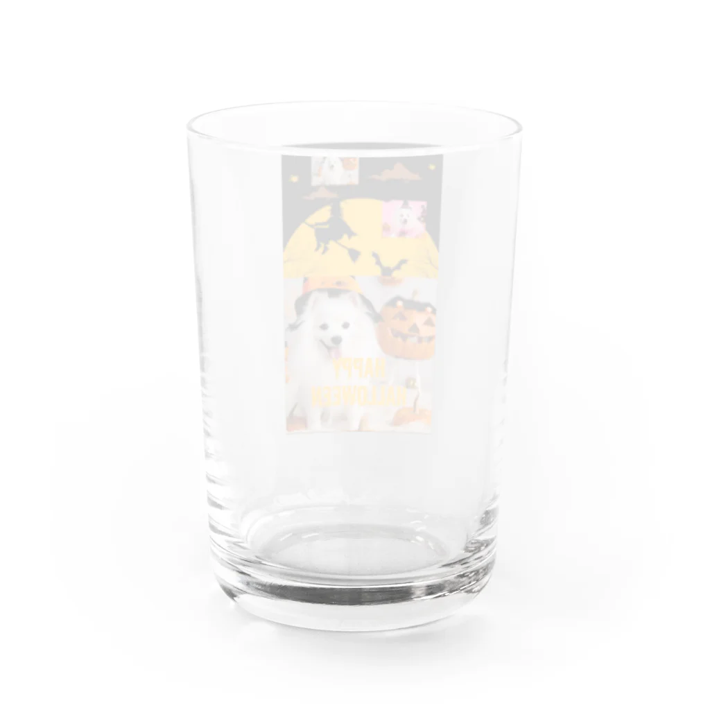 MIPA♥のハロウィン🎃スピッツ Water Glass :back