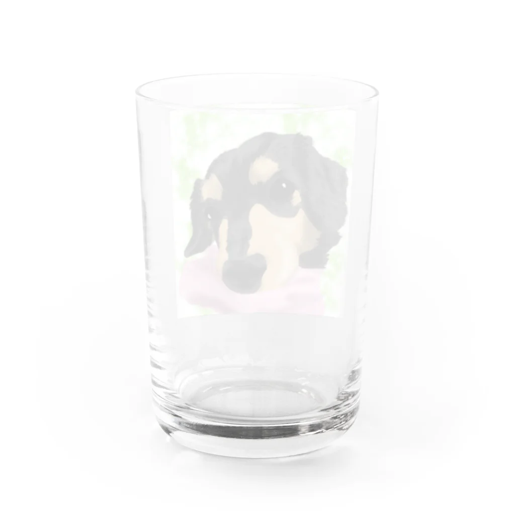 ダックス雑貨ひなたのお昼寝ドビーさん Water Glass :back