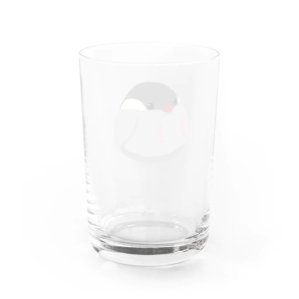 ぴいたんのぴいたん(ぶんちょう) Water Glass :back