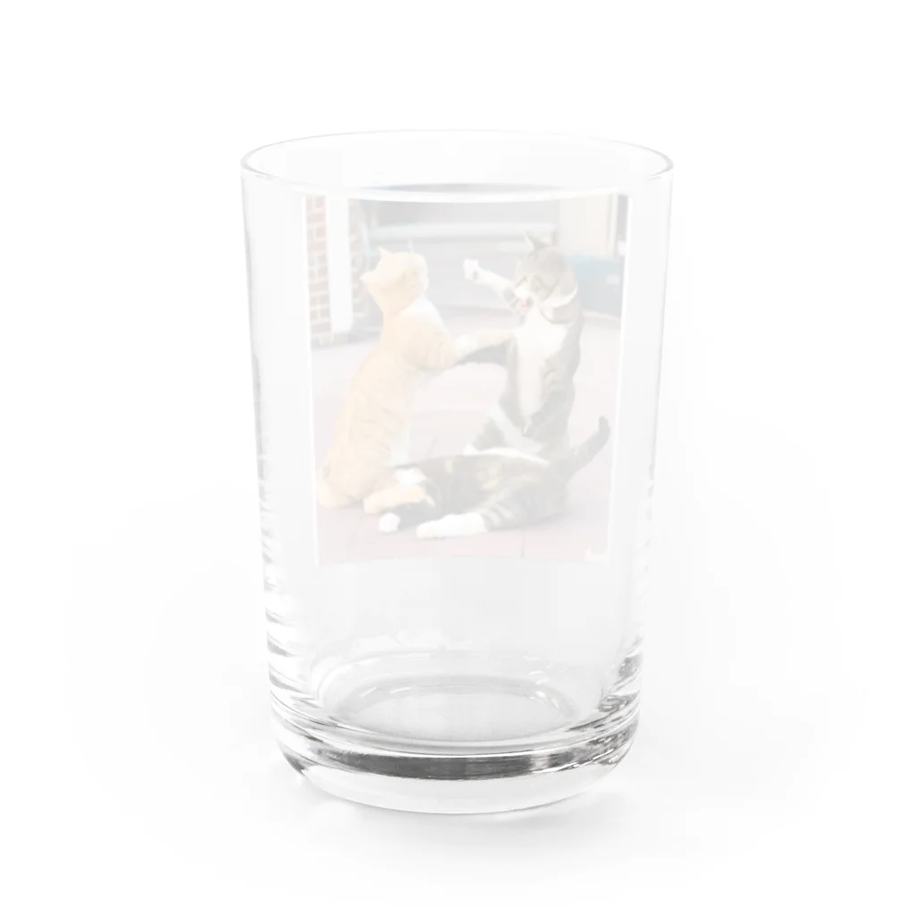 ume's shopの猫の喧嘩 Water Glass :back