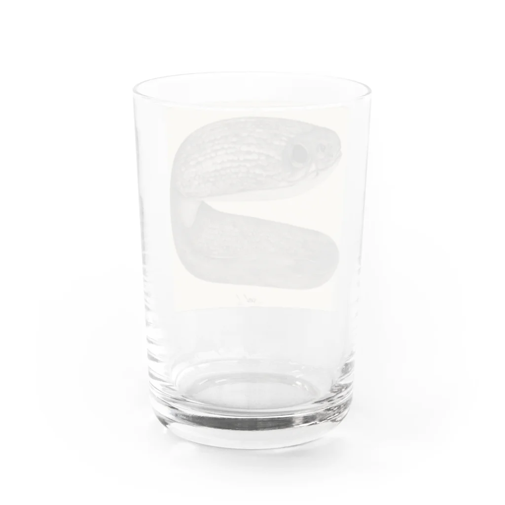 Charliegoneのへんな鰻 Water Glass :back