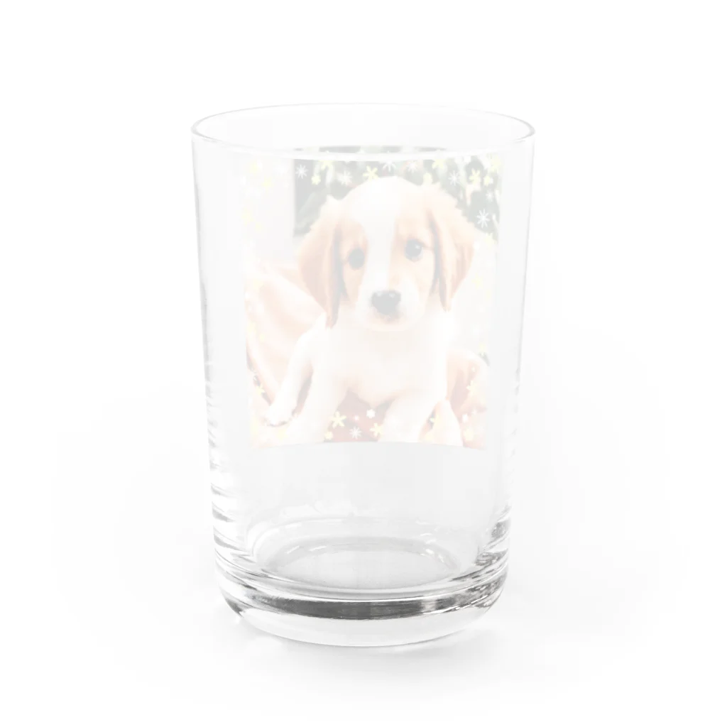 blackcofee12の可愛い子犬2 Water Glass :back